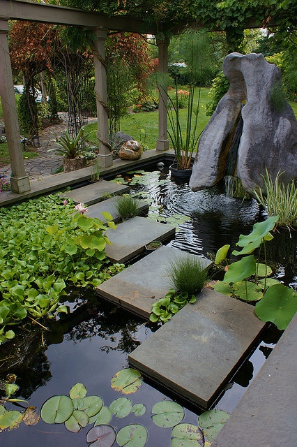 15 Japanese Koi Ponds For Your Garden